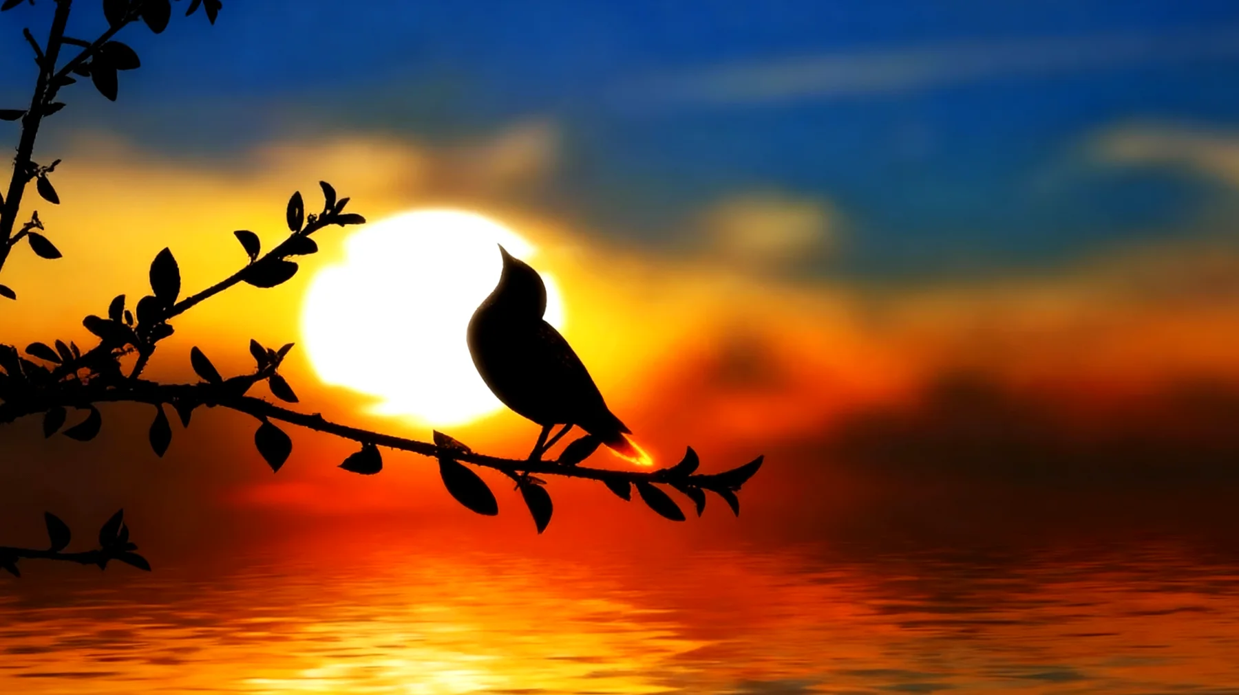 Beautiful 2026-01-24T18:31:55.223Z"