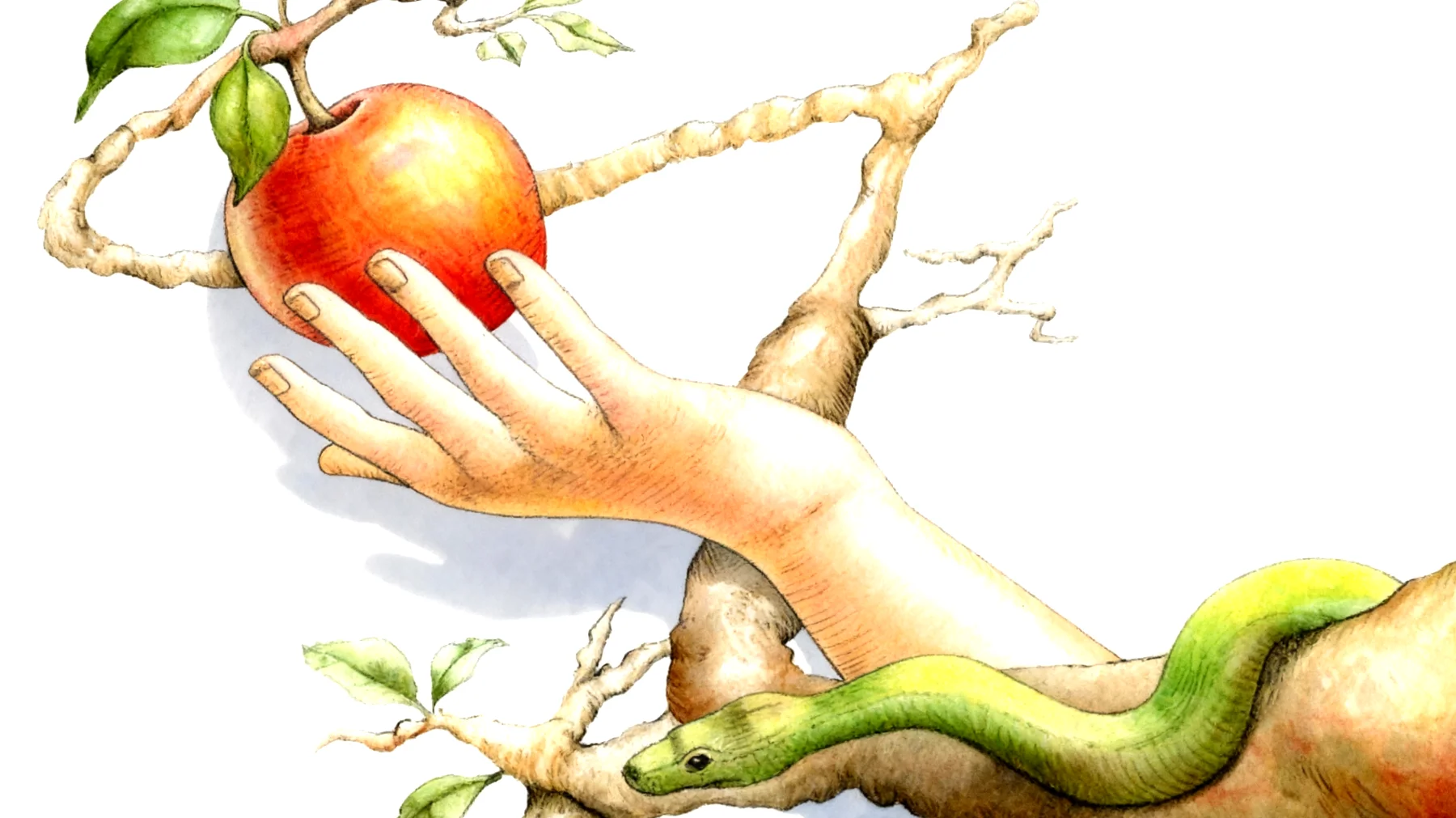 Forbidden Fruit2026-01-14T18:57:00.852Z"